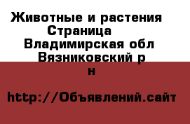  Животные и растения - Страница 24 . Владимирская обл.,Вязниковский р-н